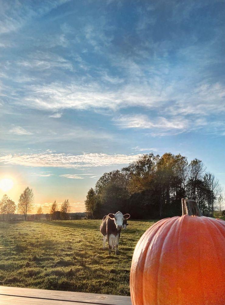 Här är min oktoberbild från Stora Mellby.