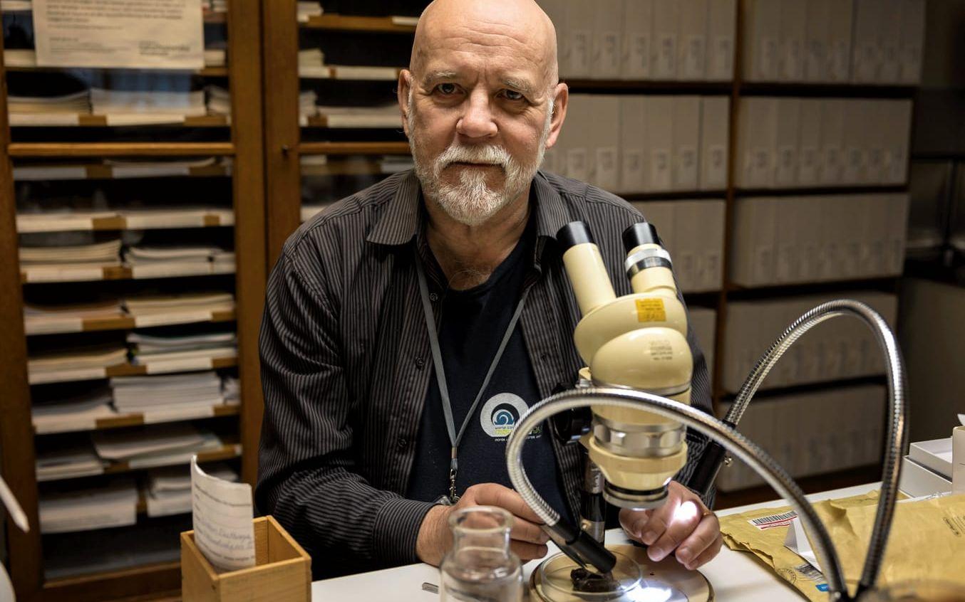 Ted von Proschwitz är intendent på Naturhistoriska museet och expert på mördarsniglar.