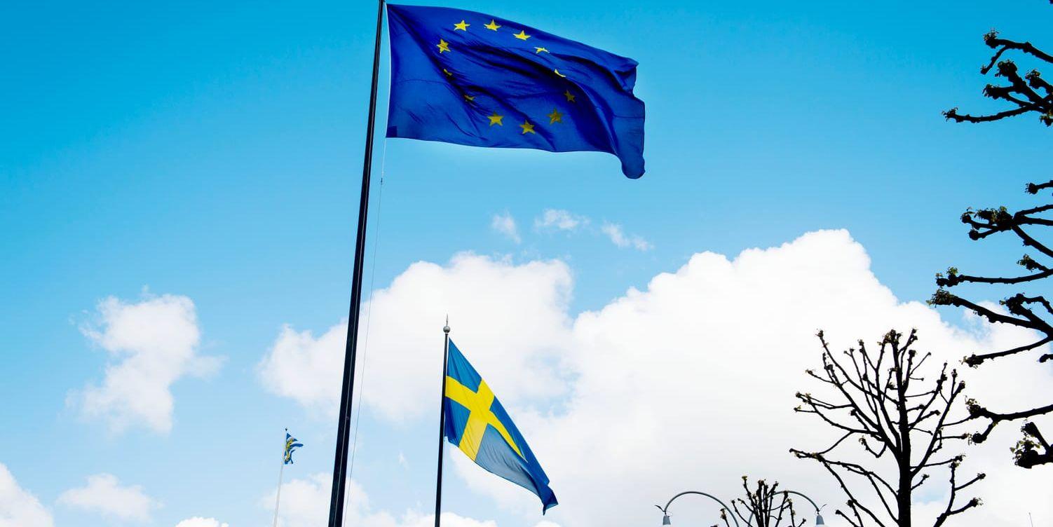 EU EU-valet EU-flagga svensk flagga Göteborgs stads flagga