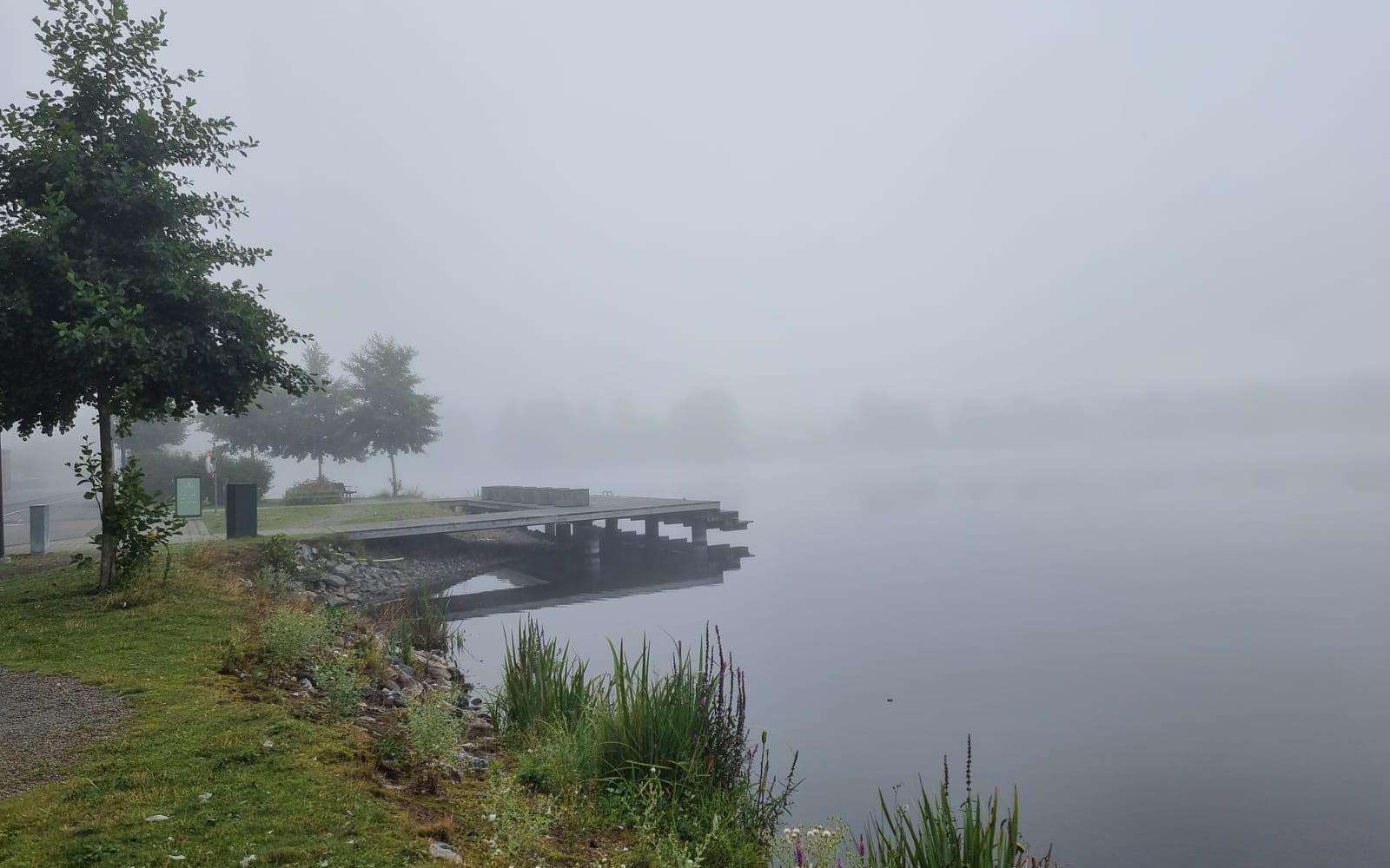 Morgondimma vid Gerdsken Alingsås 2024-08-06.