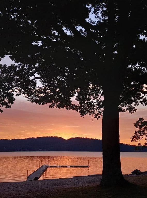 Lövet som bäst en sommarkväll! När man stannar till solnedgången! Sommarhälsningar från Alingsås!